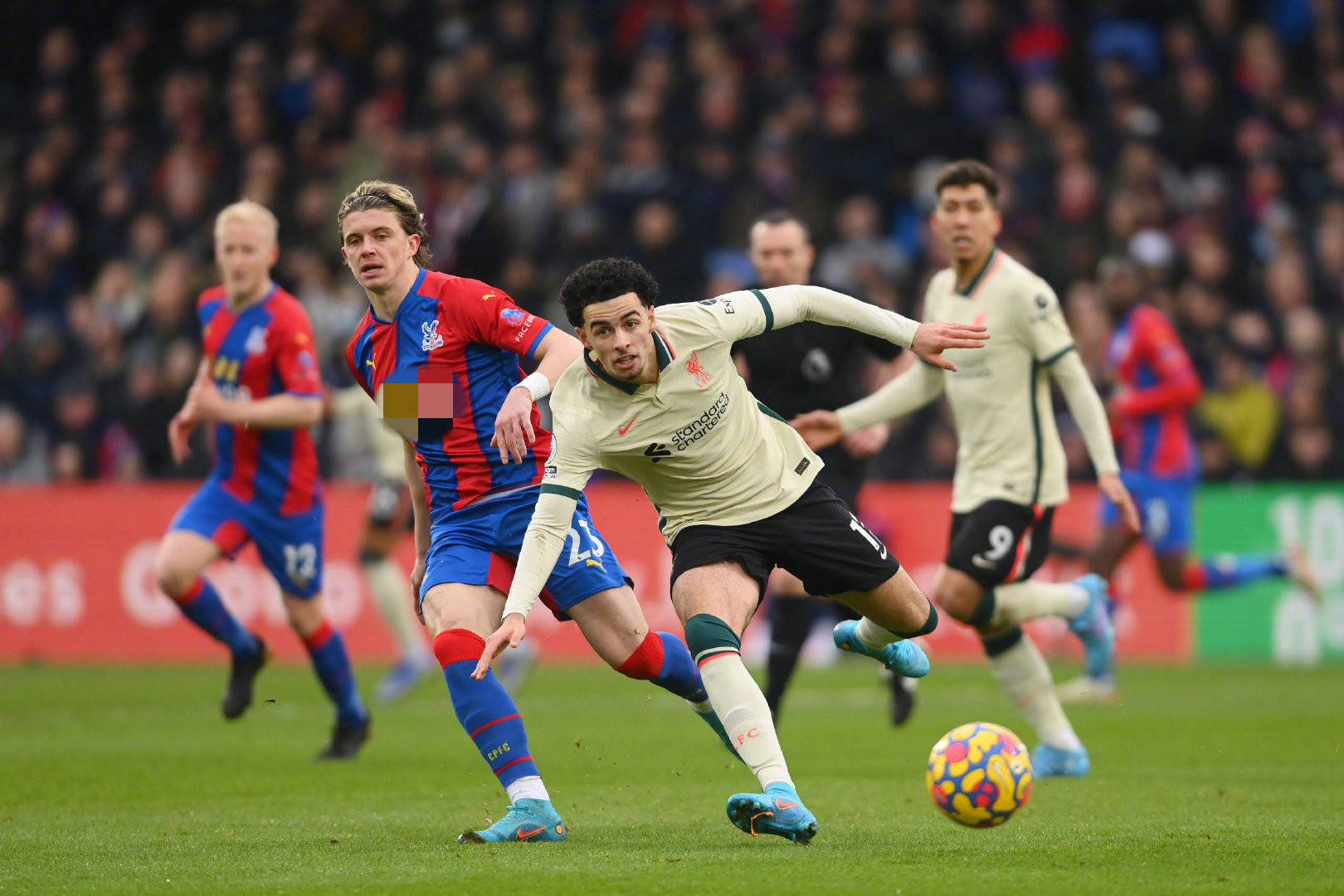 球迷和专业 球迷和专业