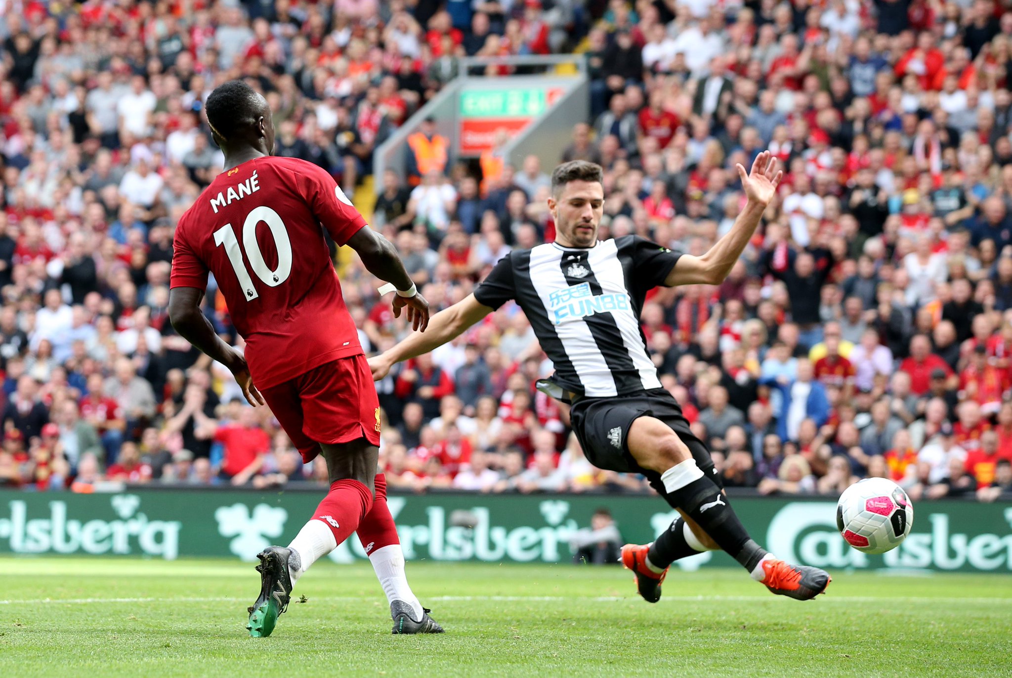 向观众普及 向观众普及